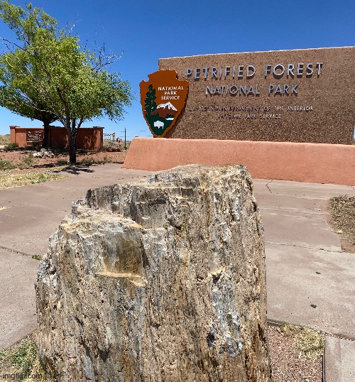[Road Trip Pic #6] a petrified tree in front of the petrified forest national park sign in Arizona | image tagged in tree,sign,national park | made w/ Imgflip meme maker