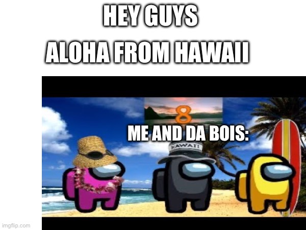 im in Hawaii | HEY GUYS; ALOHA FROM HAWAII; ME AND DA BOIS: | image tagged in memes,among us,hawaii,why are you reading this,stop reading the tags,me and the boys | made w/ Imgflip meme maker