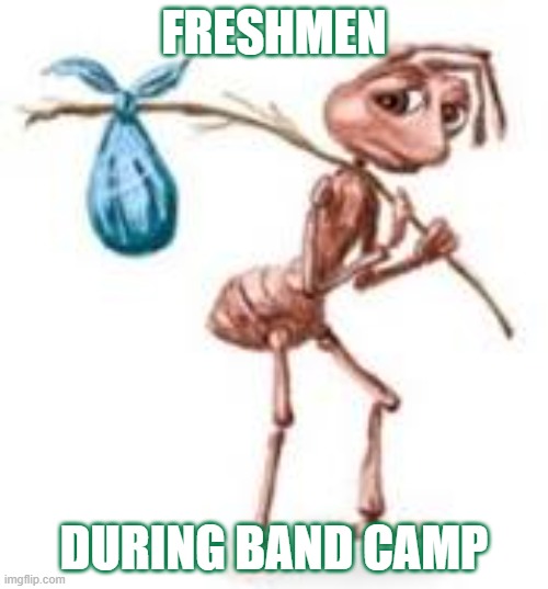 freshmen during band camp | FRESHMEN; DURING BAND CAMP | image tagged in sad ant with bindle,marching band | made w/ Imgflip meme maker