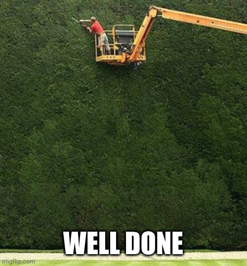trimming the bushes | WELL DONE | image tagged in trimming the bushes | made w/ Imgflip meme maker