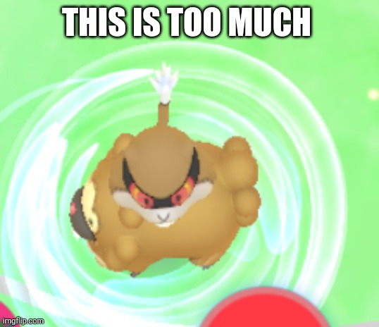 Just imagine a bidoof with a spinning patrat head on it's back | THIS IS TOO MUCH | image tagged in i've heard of the two faced cat,but this is just too much | made w/ Imgflip meme maker
