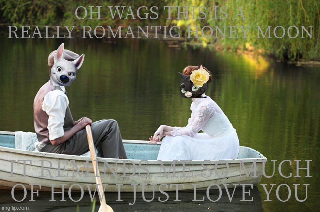 bolttens: honey moon | OH WAGS THIS IS A REALLY ROMANTIC HONEY MOON; IT REMINDS ME SO MUCH OF HOW I JUST LOVE YOU | image tagged in sunrise service,dogs,cats,honey moon | made w/ Imgflip meme maker