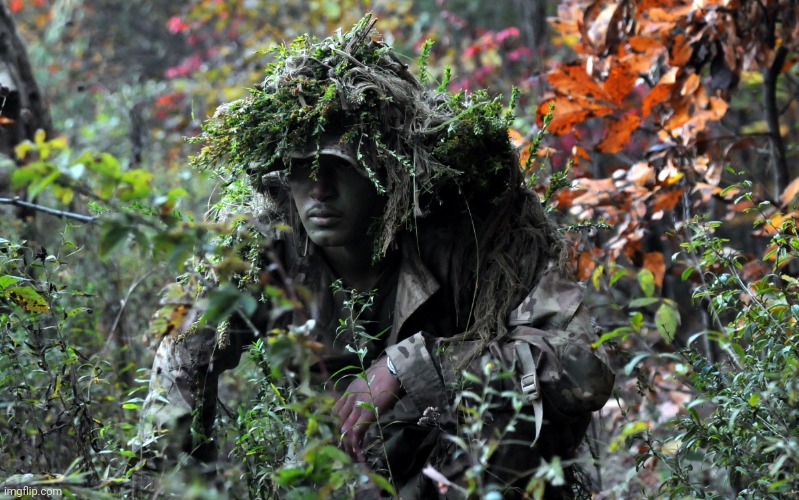 camouflage | image tagged in camouflage | made w/ Imgflip meme maker