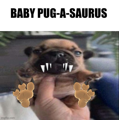 BABY PUG-A-SAURUS | image tagged in jurassic park,dinosaurs,dogs,pugs,memes,cute | made w/ Imgflip meme maker