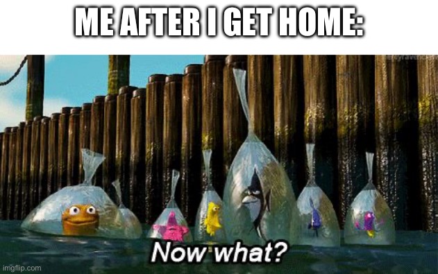 Now What? | ME AFTER I GET HOME: | image tagged in now what | made w/ Imgflip meme maker