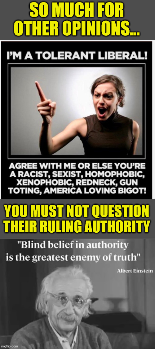 Libs should quit hating America... | SO MUCH FOR OTHER OPINIONS... YOU MUST NOT QUESTION THEIR RULING AUTHORITY | image tagged in liberals,quit hatin,america | made w/ Imgflip meme maker