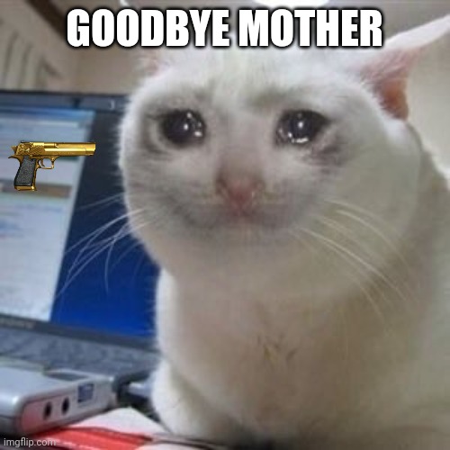 Goodbye mother | GOODBYE MOTHER | image tagged in sad cat tears | made w/ Imgflip meme maker