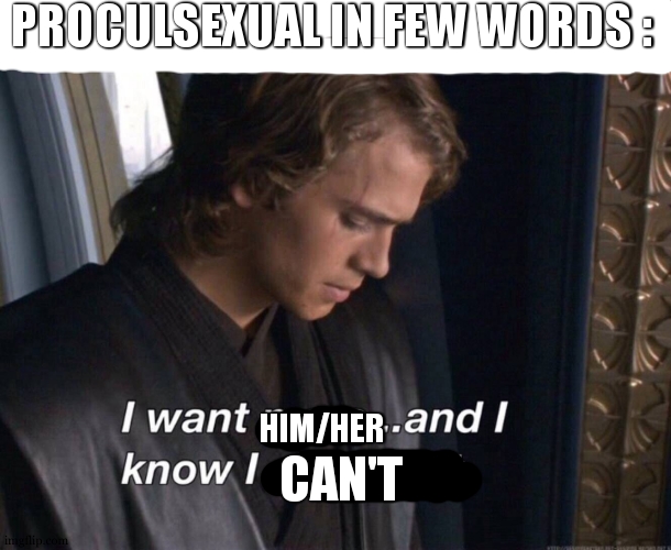 for those who dont know , proculsexual are attracted to characters/celebrities that they know that they could never be with | PROCULSEXUAL IN FEW WORDS :; CAN'T; HIM/HER | image tagged in i want more and i know i shouldn't,lgbtq,meme | made w/ Imgflip meme maker