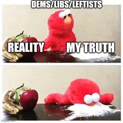 elmo cocaine | DEMS/LIBS/LEFTISTS REALITY MY TRUTH | image tagged in elmo cocaine | made w/ Imgflip meme maker