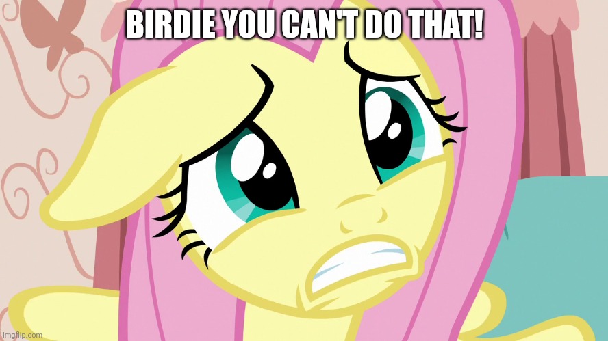 BIRDIE YOU CAN'T DO THAT! | made w/ Imgflip meme maker