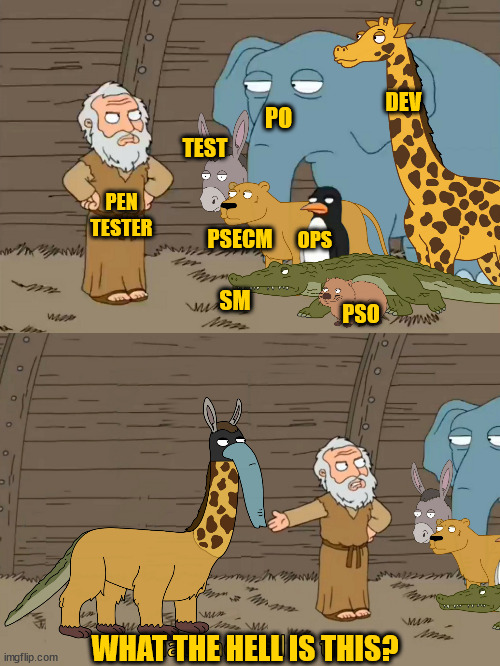 Family guy Noah | DEV; PO; TEST; PEN
TESTER; PSECM; OPS; SM; PSO; WHAT THE HELL IS THIS? | image tagged in family guy noah | made w/ Imgflip meme maker