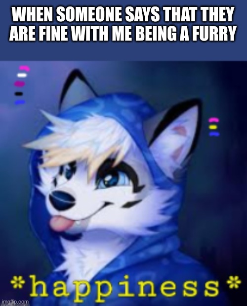 no hate please ^w^'' | WHEN SOMEONE SAYS THAT THEY ARE FINE WITH ME BEING A FURRY | image tagged in wwrty | made w/ Imgflip meme maker