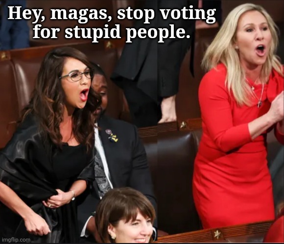 Stupid Congress People | Hey, magas, stop voting 
for stupid people. | image tagged in boebert and mtg,maga,morons | made w/ Imgflip meme maker