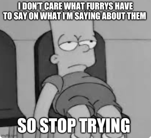 I DON’T CARE WHAT FURRYS HAVE TO SAY ON WHAT I’M SAYING ABOUT THEM; SO STOP TRYING | made w/ Imgflip meme maker