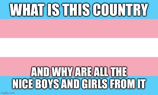 Trans Flag | WHAT IS THIS COUNTRY; AND WHY ARE ALL THE NICE BOYS AND GIRLS FROM IT | image tagged in trans flag | made w/ Imgflip meme maker