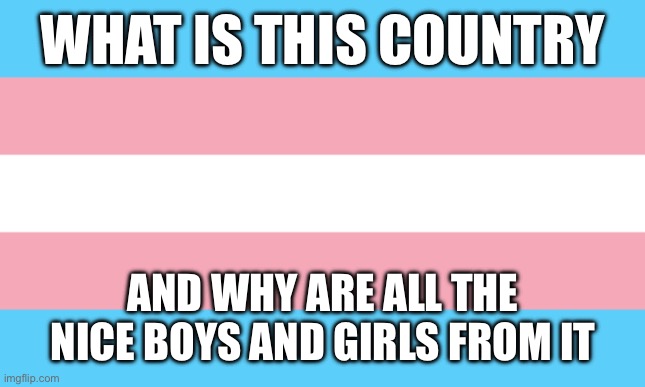 Trans Flag | WHAT IS THIS COUNTRY; AND WHY ARE ALL THE NICE BOYS AND GIRLS FROM IT | image tagged in trans flag | made w/ Imgflip meme maker