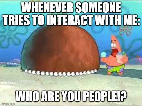 WHO ARE YOU PEOPLE? | WHENEVER SOMEONE TRIES TO INTERACT WITH ME:; WHO ARE YOU PEOPLE!? | image tagged in who are you people | made w/ Imgflip meme maker