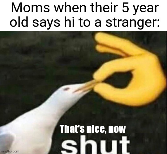 Meme #2,183 | Moms when their 5 year old says hi to a stranger:; That's nice, now | image tagged in shut,memes,funny,kids,hi,little kid | made w/ Imgflip meme maker
