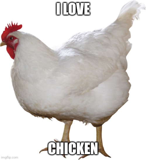 I LOVE CHICKEN | I LOVE; CHICKEN | image tagged in chicken | made w/ Imgflip meme maker