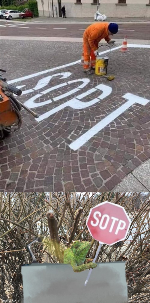 Sopt | image tagged in lizard sotp,stop,sopt,you had one job,memes,road | made w/ Imgflip meme maker