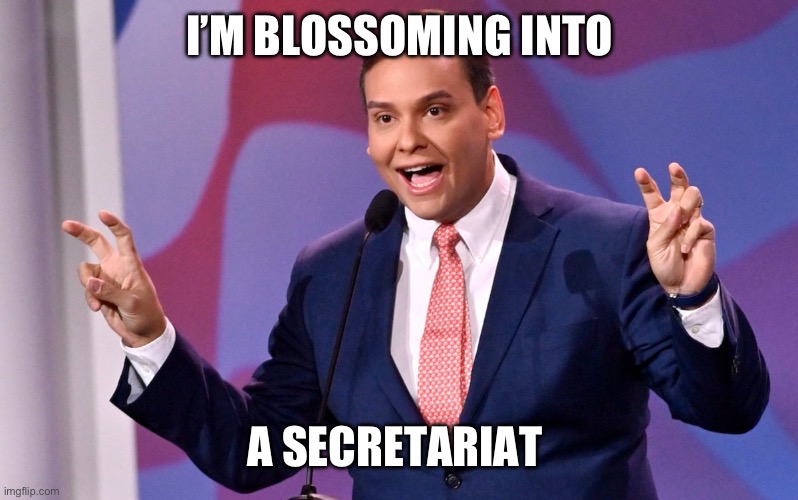 Rivelli Santos | I’M BLOSSOMING INTO; A SECRETARIAT | image tagged in george santos air quotes | made w/ Imgflip meme maker