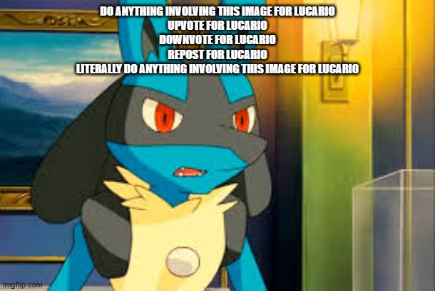 view this image for Lucario | DO ANYTHING INVOLVING THIS IMAGE FOR LUCARIO
UPVOTE FOR LUCARIO
DOWNVOTE FOR LUCARIO
REPOST FOR LUCARIO
LITERALLY DO ANYTHING INVOLVING THIS IMAGE FOR LUCARIO | image tagged in surprised lucario | made w/ Imgflip meme maker