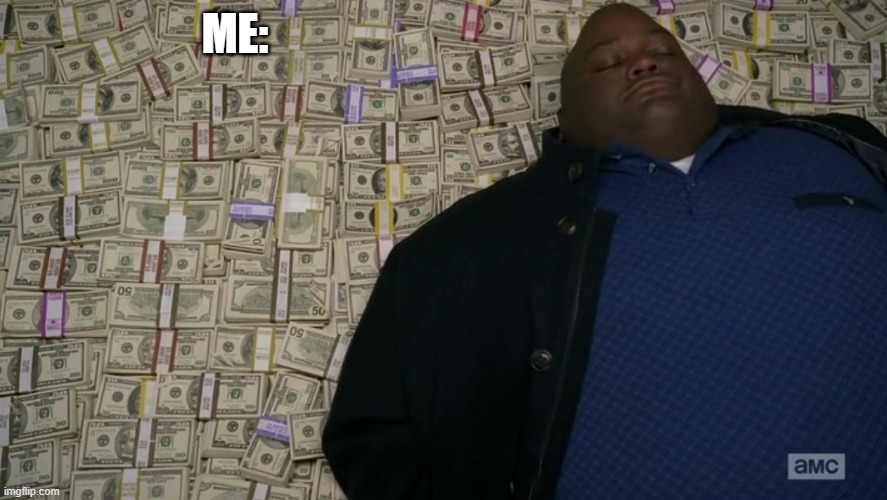 guy sleeping on pile of money | ME: | image tagged in guy sleeping on pile of money | made w/ Imgflip meme maker