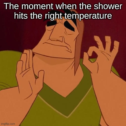 water bill go brr | The moment when the shower hits the right temperature | image tagged in when x just right,funny meme,fun,funny,thelettereawarenessfund,relatable | made w/ Imgflip meme maker