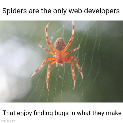Meme #2,189 | Spiders are the only web developers; That enjoy finding bugs in what they make | image tagged in shower thoughts,true,memes,spiders,bugs,web | made w/ Imgflip meme maker
