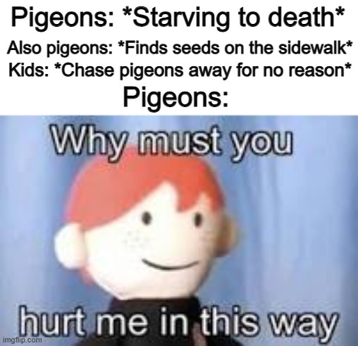 Poor birds U_U | Pigeons: *Starving to death*; Also pigeons: *Finds seeds on the sidewalk*; Kids: *Chase pigeons away for no reason*; Pigeons: | image tagged in why must you hurt me in this way | made w/ Imgflip meme maker