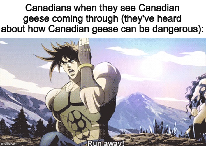 Get back o_o | Canadians when they see Canadian geese coming through (they've heard about how Canadian geese can be dangerous): | image tagged in jojo running away | made w/ Imgflip meme maker