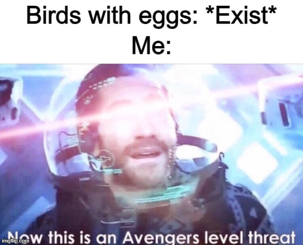 Birds become threatening when they have eggs nearby :/ | Birds with eggs: *Exist*; Me: | image tagged in now this is an avengers level threat | made w/ Imgflip meme maker