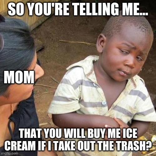 Third World Skeptical Kid Meme | SO YOU'RE TELLING ME... MOM; THAT YOU WILL BUY ME ICE CREAM IF I TAKE OUT THE TRASH? | image tagged in memes,third world skeptical kid | made w/ Imgflip meme maker