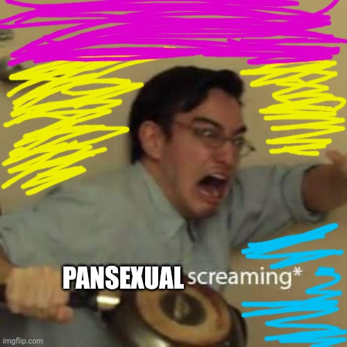 filthy frank confused scream | PANSEXUAL | image tagged in filthy frank confused scream | made w/ Imgflip meme maker