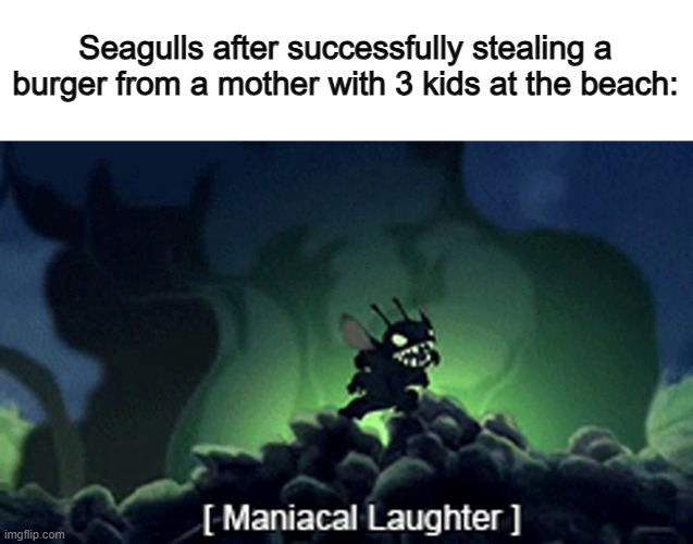 Dang it T-T | Seagulls after successfully stealing a burger from a mother with 3 kids at the beach: | image tagged in evil stitch | made w/ Imgflip meme maker