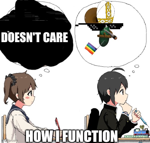 My mind is a center of reformation for stupidity | DOESN'T CARE; HOW I FUNCTION | image tagged in thinking about marriage | made w/ Imgflip meme maker