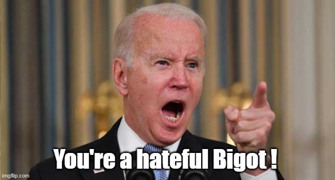 You're a hateful Bigot ! | made w/ Imgflip meme maker