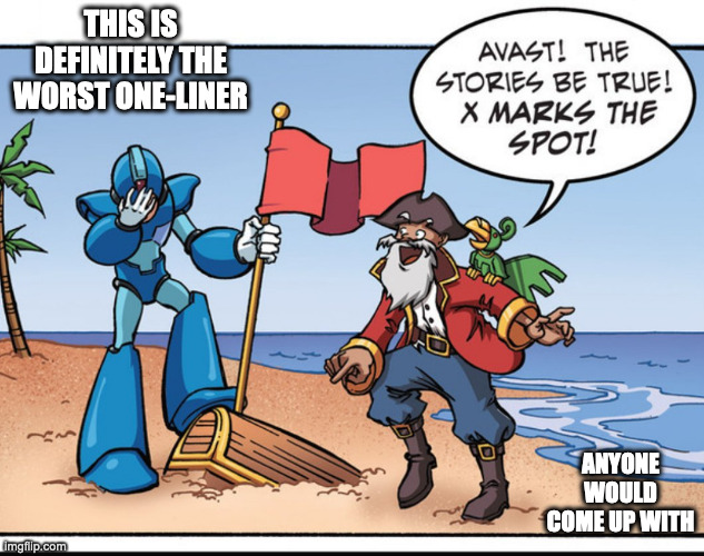 X With Pirate | THIS IS DEFINITELY THE WORST ONE-LINER; ANYONE WOULD COME UP WITH | image tagged in x,megaman,megaman x,pirate,memes | made w/ Imgflip meme maker