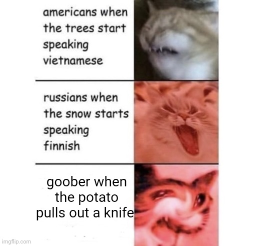 Snow speaking Finnish | goober when the potato pulls out a knife | image tagged in snow speaking finnish | made w/ Imgflip meme maker