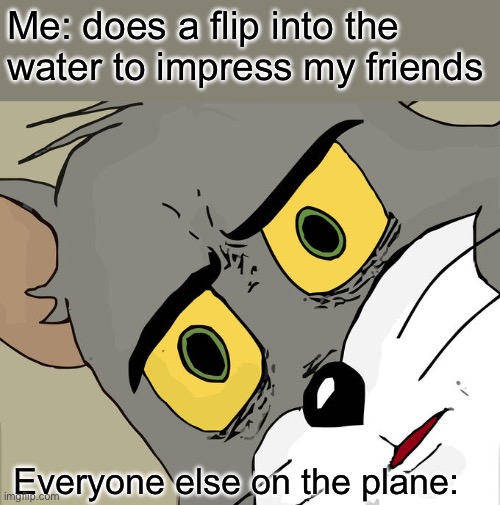 wait Wait WAIT | Me: does a flip into the water to impress my friends; Everyone else on the plane: | image tagged in memes,unsettled tom | made w/ Imgflip meme maker