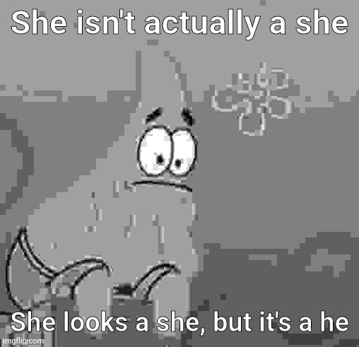 Zad | She isn't actually a she; She looks a she, but it's a he | image tagged in sad patrick,shitpost,oh wow are you actually reading these tags | made w/ Imgflip meme maker