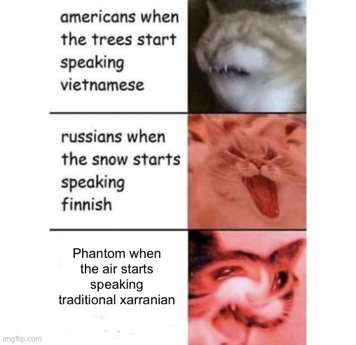 Simplified Xarranian is just English but spelled different. Traditional Xarranian is just warped English. | Phantom when the air starts speaking traditional xarranian | image tagged in snow speaking finnish | made w/ Imgflip meme maker