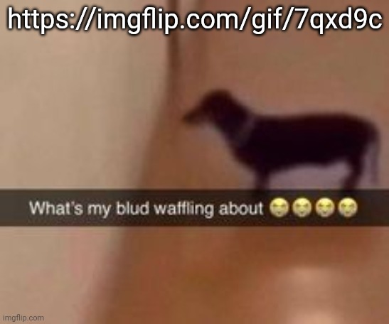 What's my blud waffling about | https://imgflip.com/gif/7qxd9c | image tagged in what's my blud waffling about | made w/ Imgflip meme maker