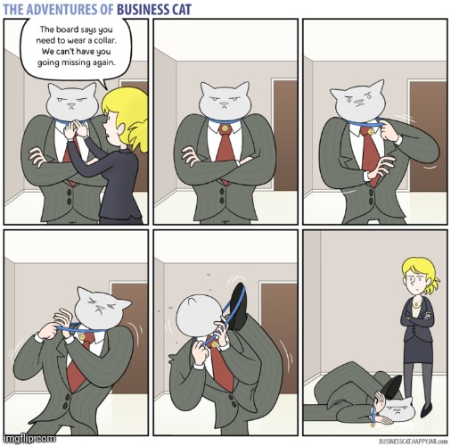 The Adventures of Business Cat #77 - Collar | made w/ Imgflip meme maker