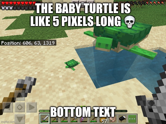 Bite sized | THE BABY TURTLE IS LIKE 5 PIXELS LONG 💀; BOTTOM TEXT | made w/ Imgflip meme maker
