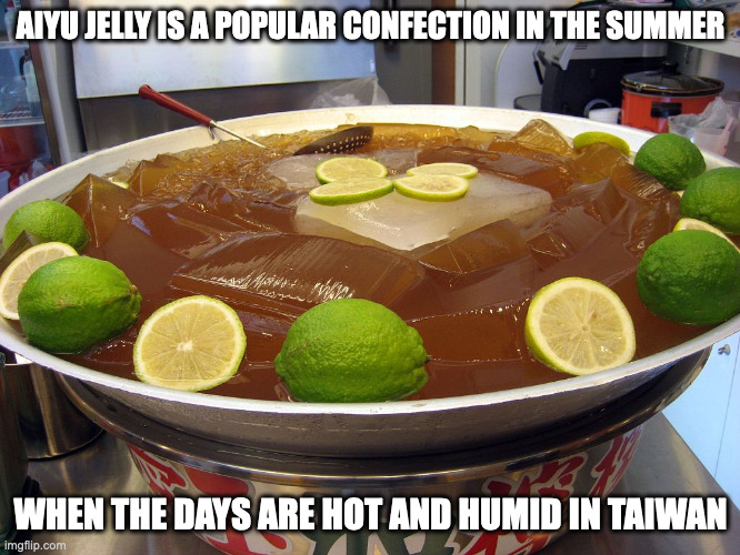 Aiyu Jelly | AIYU JELLY IS A POPULAR CONFECTION IN THE SUMMER; WHEN THE DAYS ARE HOT AND HUMID IN TAIWAN | image tagged in dessert,food,memes,jelly | made w/ Imgflip meme maker