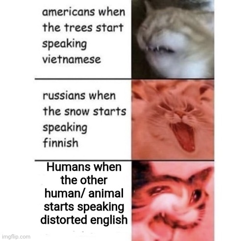 Perhaps I'll introduce skin walkers to bossfights | Humans when the other human/ animal starts speaking distorted english | image tagged in snow speaking finnish | made w/ Imgflip meme maker