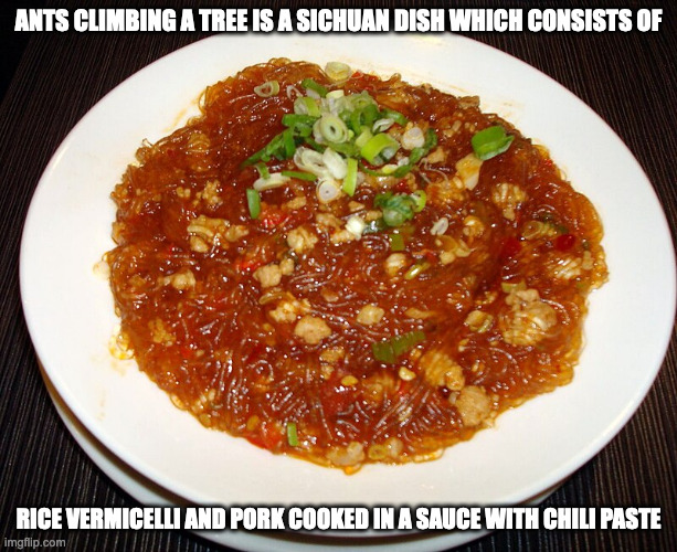 Ants Climbing A Tree | ANTS CLIMBING A TREE IS A SICHUAN DISH WHICH CONSISTS OF; RICE VERMICELLI AND PORK COOKED IN A SAUCE WITH CHILI PASTE | image tagged in food,memes,noodles | made w/ Imgflip meme maker