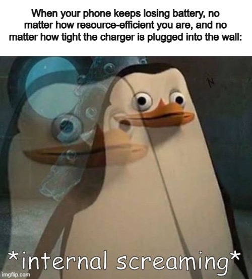 NOOOO | When your phone keeps losing battery, no matter how resource-efficient you are, and no matter how tight the charger is plugged into the wall: | image tagged in internal screaming | made w/ Imgflip meme maker