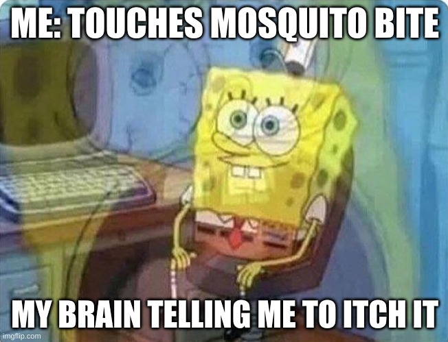 spongebob screaming inside | ME: TOUCHES MOSQUITO BITE; MY BRAIN TELLING ME TO ITCH IT | image tagged in spongebob screaming inside | made w/ Imgflip meme maker